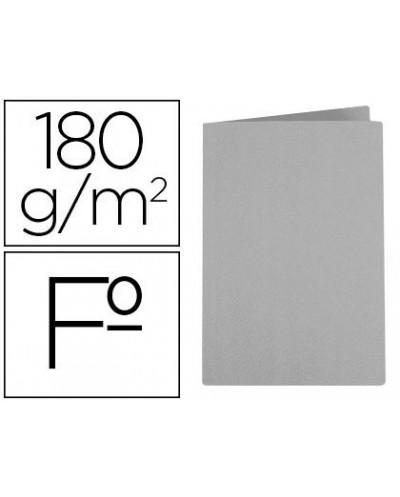 Subcarpeta liderpapel folio gris 180g m2