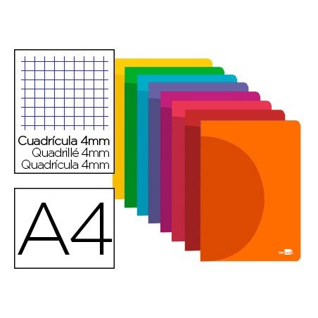 Libreta liderpapel 360 tapa de plastico a4 48 hojas 90g m2 cuadro 4mm con margen colores surtidos