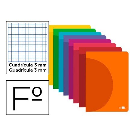 Libreta liderpapel 360 tapa de plastico a4 48 hojas 90g m2 cuadro 3 mm con margen colores surtidos