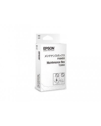 Consumibles epson workforce wf 100w maintenance