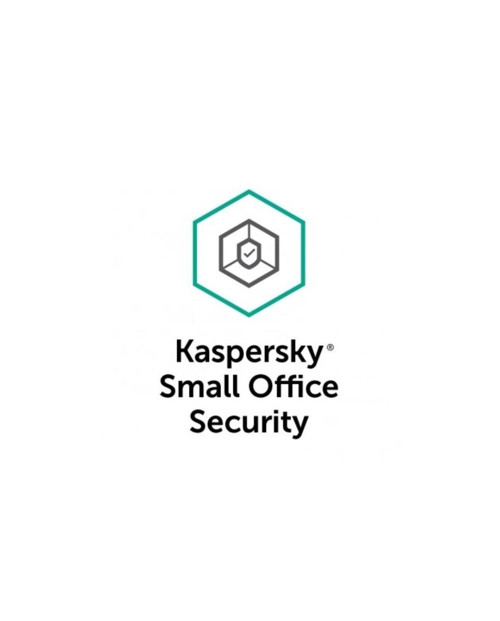 Antivirus para servidores kaspersky kaspersky small office security for