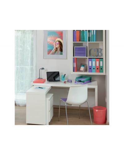 Carpeta esselte colour breeze 2 anillas redondas 25 mm din a4 polipropileno colores surtidos