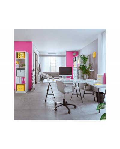 Bandeja sobremesa plastico leitz wow dual blanco fucsia 267x49x336 mm