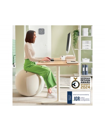 Balon de asiento leitz active 65 cm antideslizante color gris