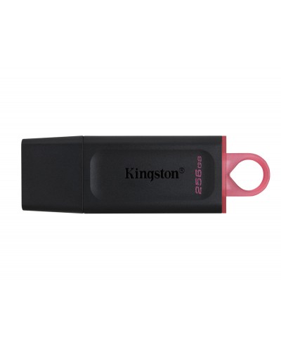 Memoria kingston pendrive exodia 256gb