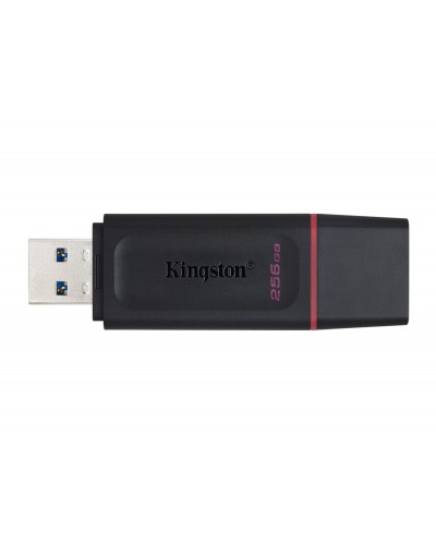 Memoria kingston pendrive exodia 256gb