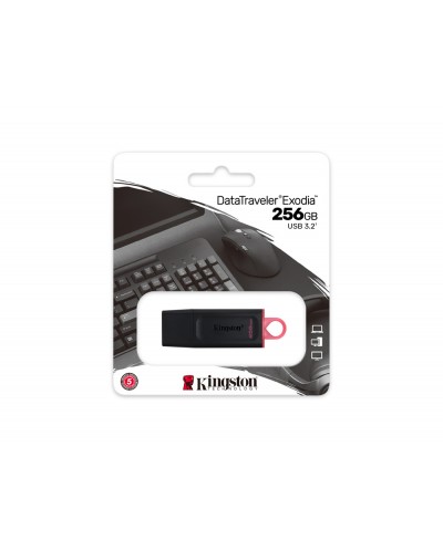 Memoria kingston pendrive exodia 256gb