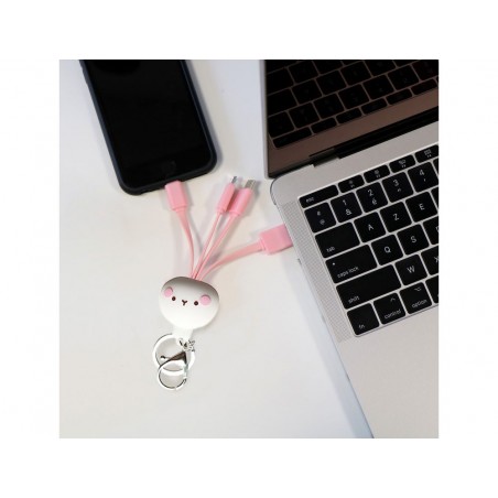 Cable de carga multiconector molang 3 en 1