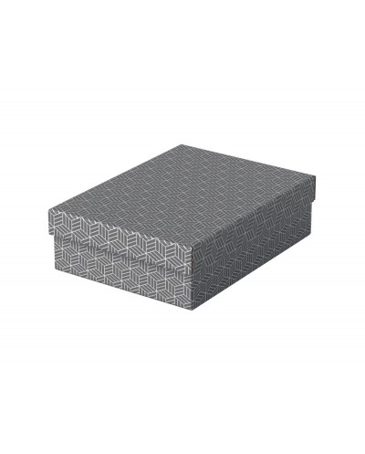 Caja de almacenamiento esselte carton con asas color gris 360x265x100 mm pack de 3 unidades
