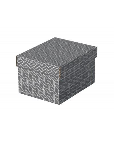 Caja de almacenamiento esselte carton con asas color gris 255x200x150 mm pack de 3 unidades