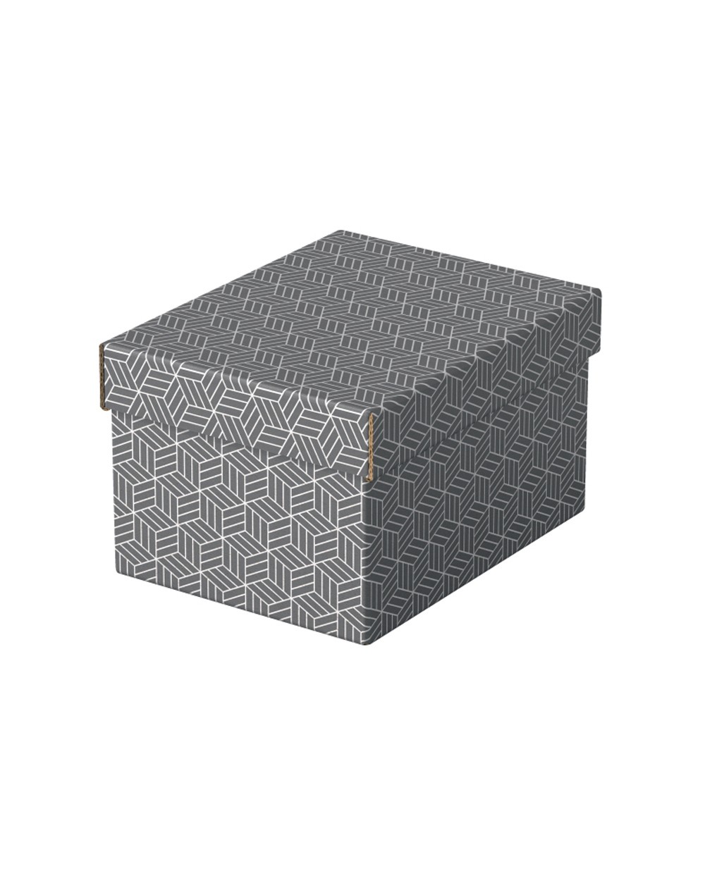Caja de almacenamiento esselte carton con asas color gris 255x200x150 mm pack de 3 unidades