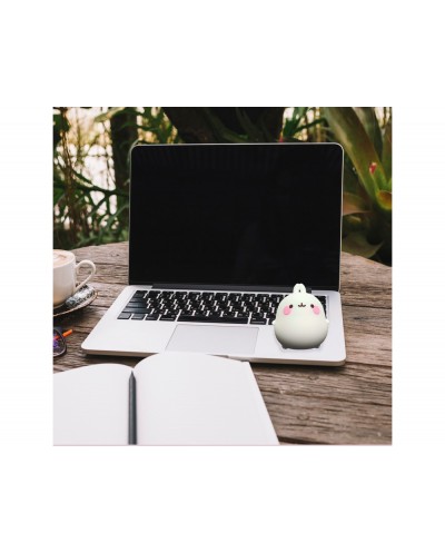 Altavoz molang bluetooth Altavoz molang bluetooth