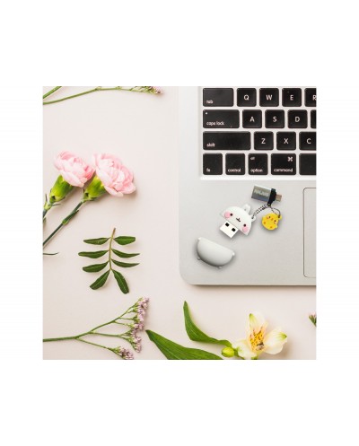 Memoria usb molang 32gb molang Memoria usb molang 32gb molang