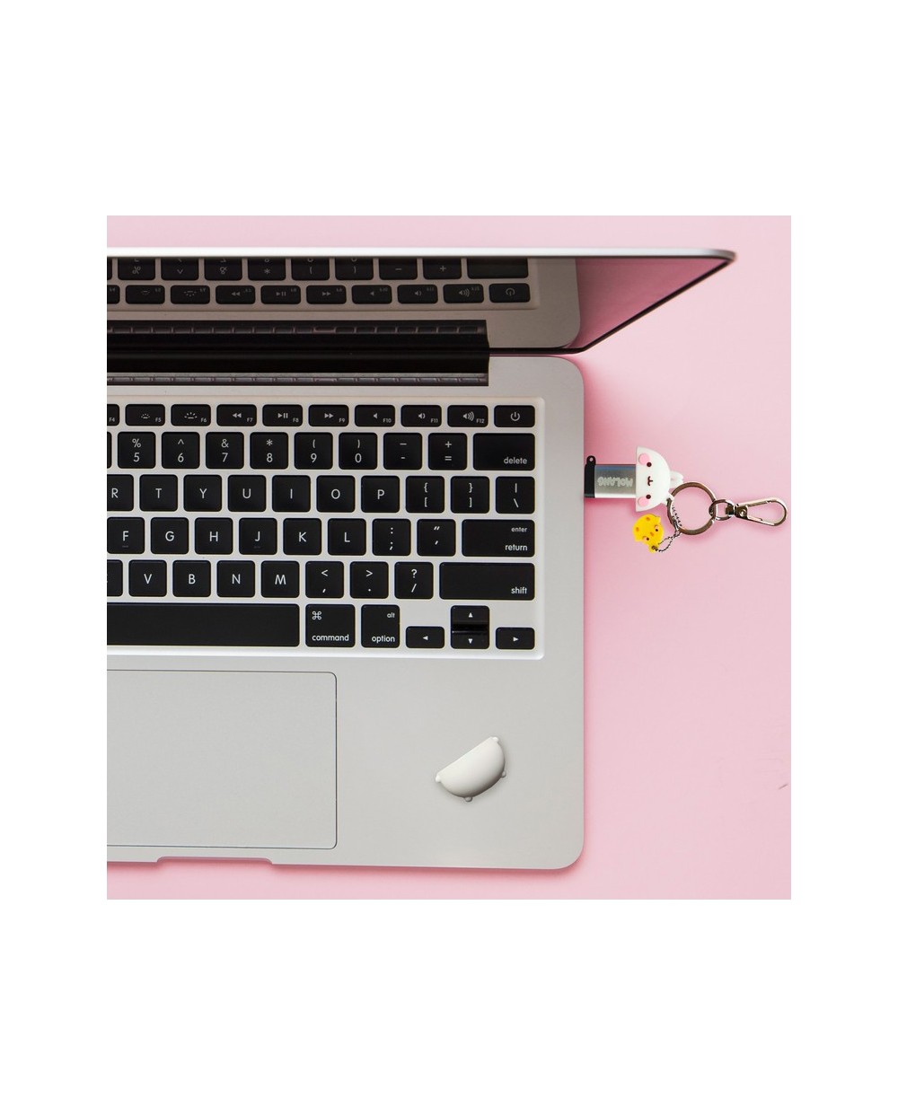 Memoria usb molang 32gb molang Memoria usb molang 32gb molang