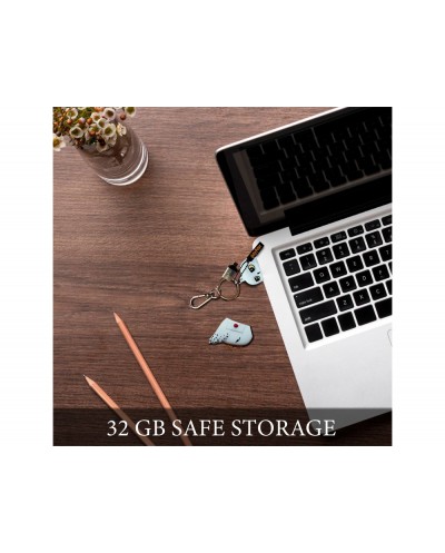 Memoria usb harry potter 32gb hedwig