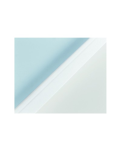 Tapa de encuadernacion termica leitz lomo 4 mm color blanco caja de 100 unidades