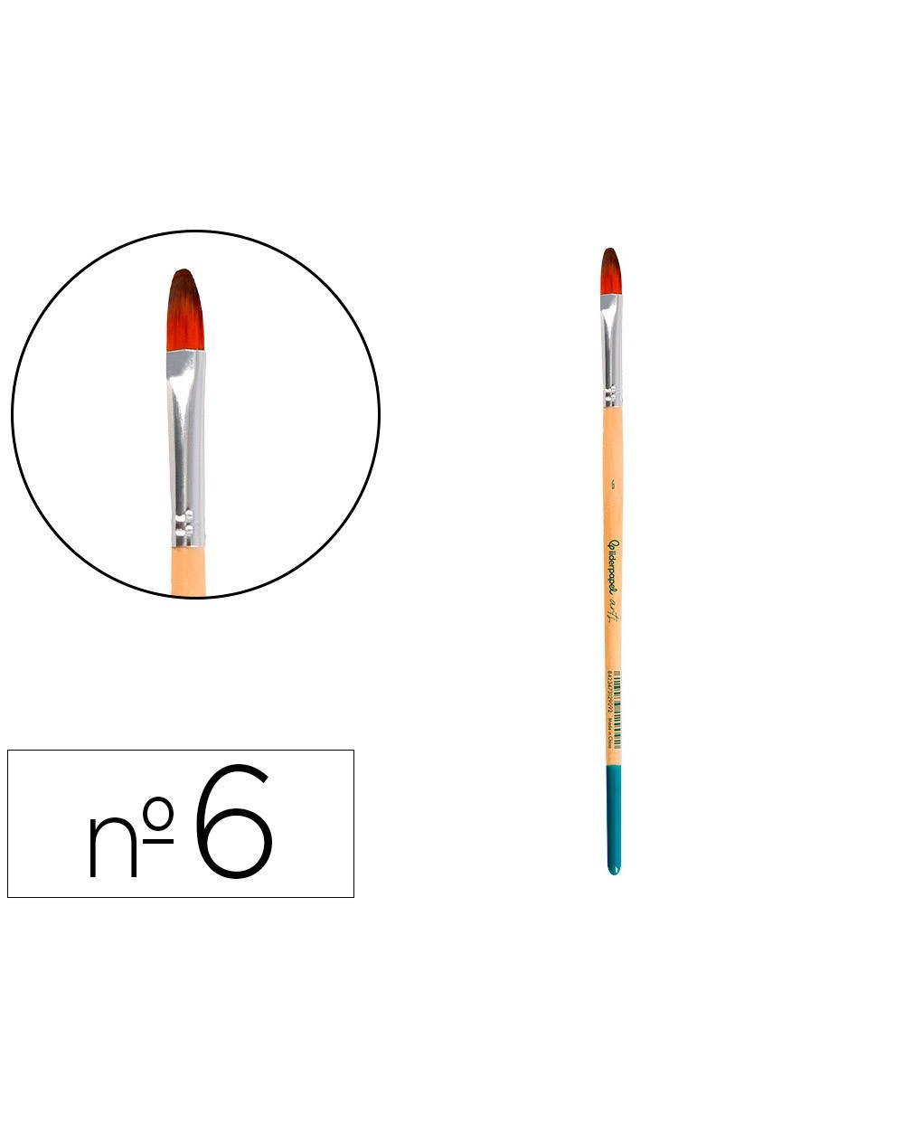 Pincel para pintura acrilica y acuarela liderpapel n 6 punta filbert lengua gato de pelo sintetico certificado