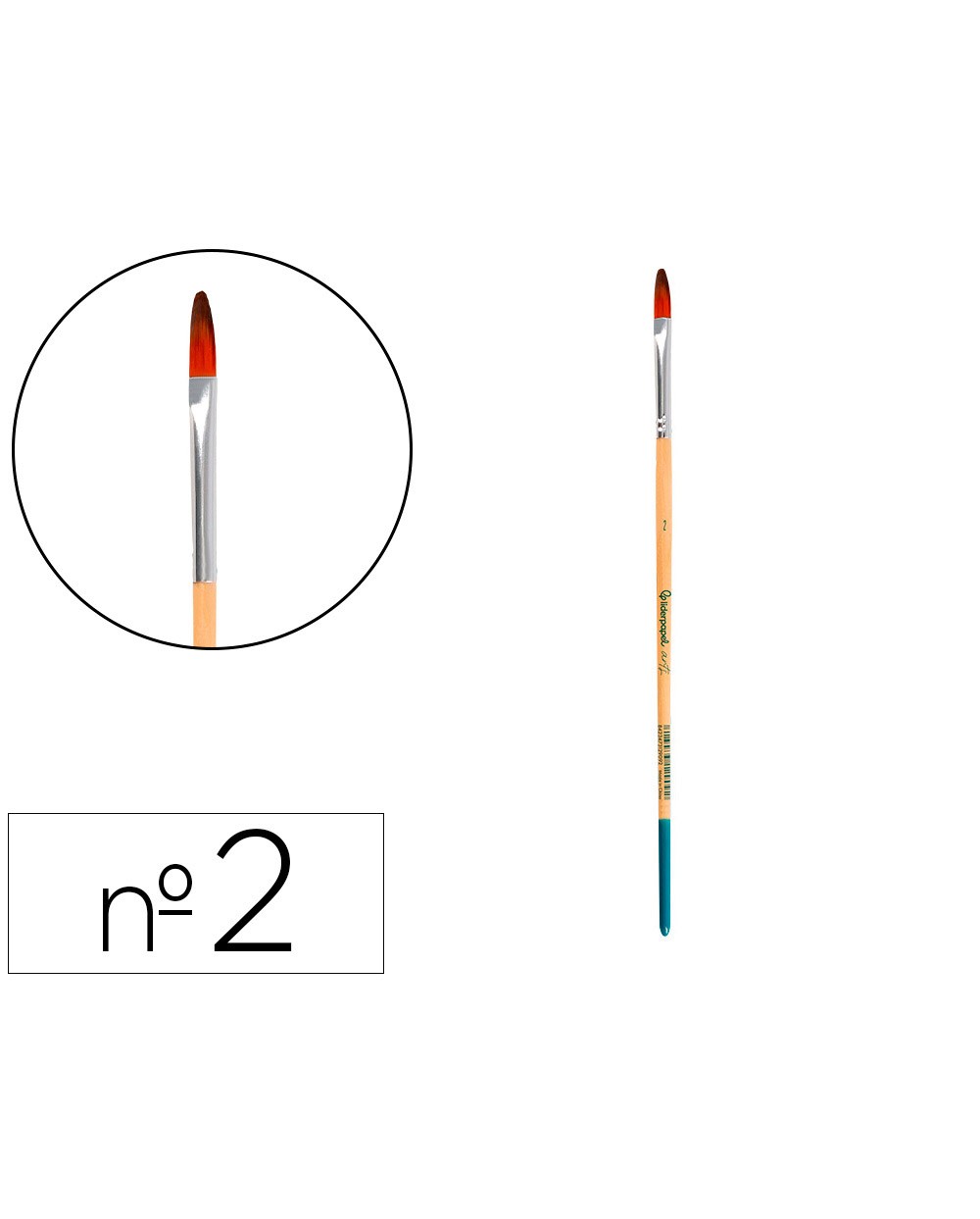 Pincel para pintura acrilica y acuarela liderpapel n 2 punta filbert lengua gato de pelo sintetico certificado