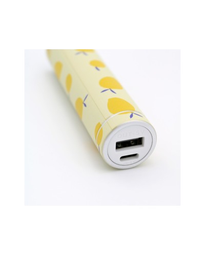 Bateria externa wondee mr wonderful 5000 mah limones