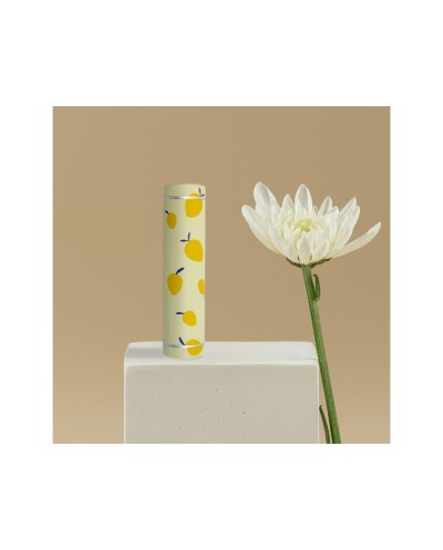 Bateria externa wondee mr wonderful 5000 mah limones