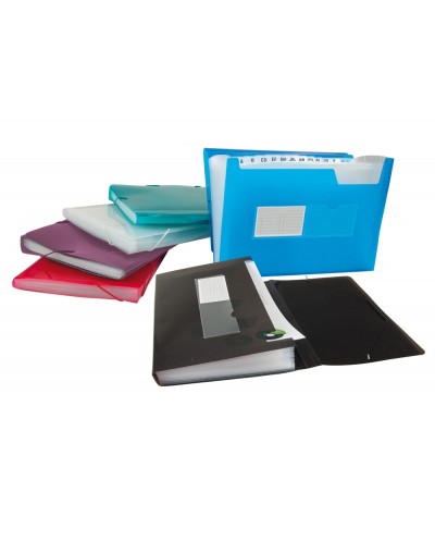 Carpeta carlin clasificador fuelle polipropileno a4 2 huecos tarjetas 13 departamentos colores
