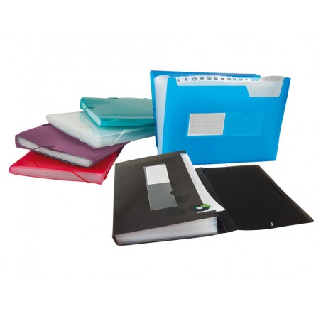 Carpeta carlin clasificador fuelle polipropileno a4 2 huecos tarjetas 13 departamentos colores