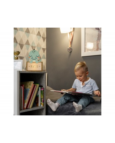 Lampara vintiun personalizable little dino