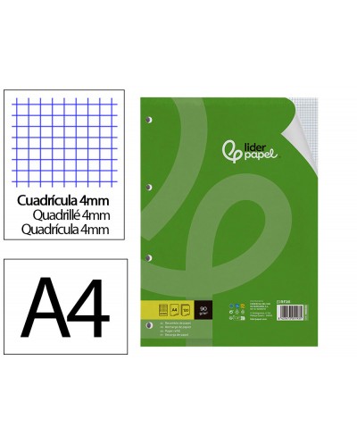Recambio liderpapel a4 120 hojas 90gr cuadro 4mm 4 taladros bandas de 5 colores