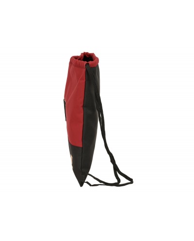 Saco plano safta harry potter 400x350x10 mm