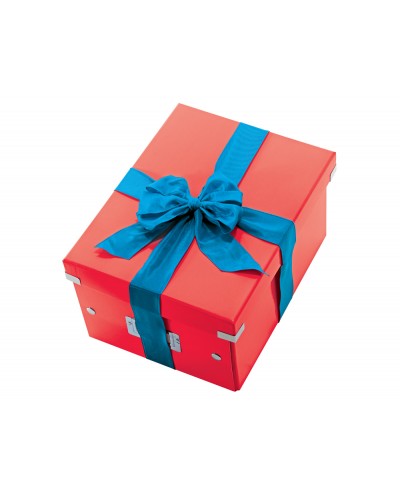 Caja de almacenamiento leitz click store universal mediana color rojo 281x200x369 mm