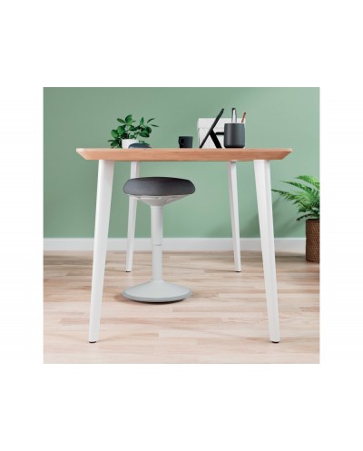 Taburete leitz ergo active comfort bajo color gris