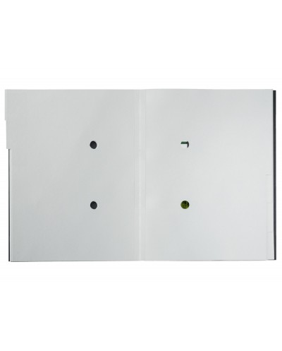 Carpeta clasificadora leitz recycle tapa carton 6 pestanas 100 reciclable din a4 color negro