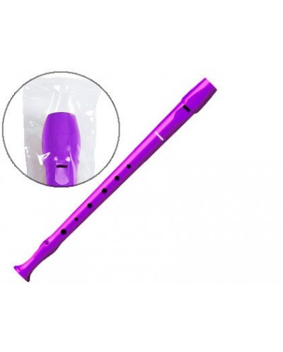 Flauta hohner 9508 color violeta funda verde y transparente